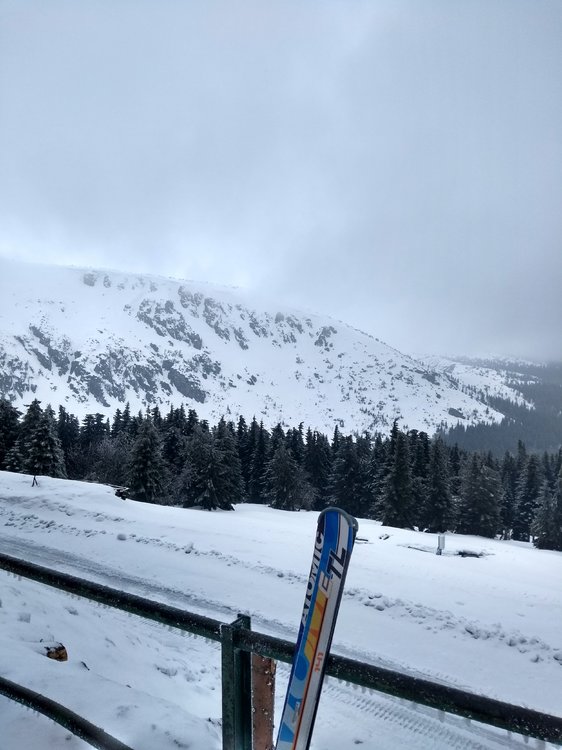 IMG_20190302_120040892_HDR.jpg