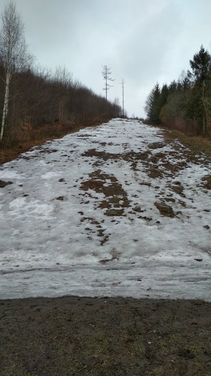 IMG_20190302_120605.jpg