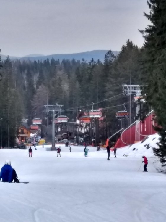 IMG_20190303_100237884_HDR.jpg