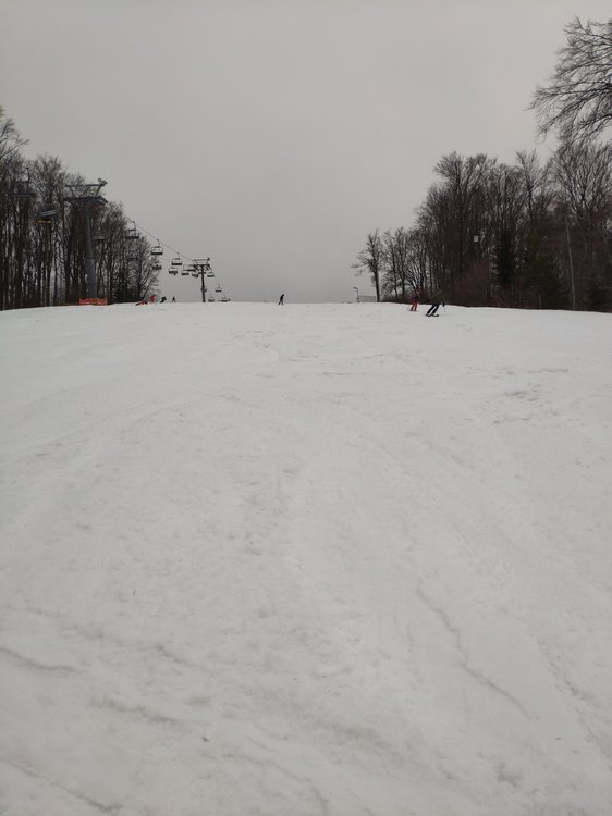 IMG_20190303_102334.thumb.jpg.9db54911bd6eca8b53b1827170cda73d.jpg