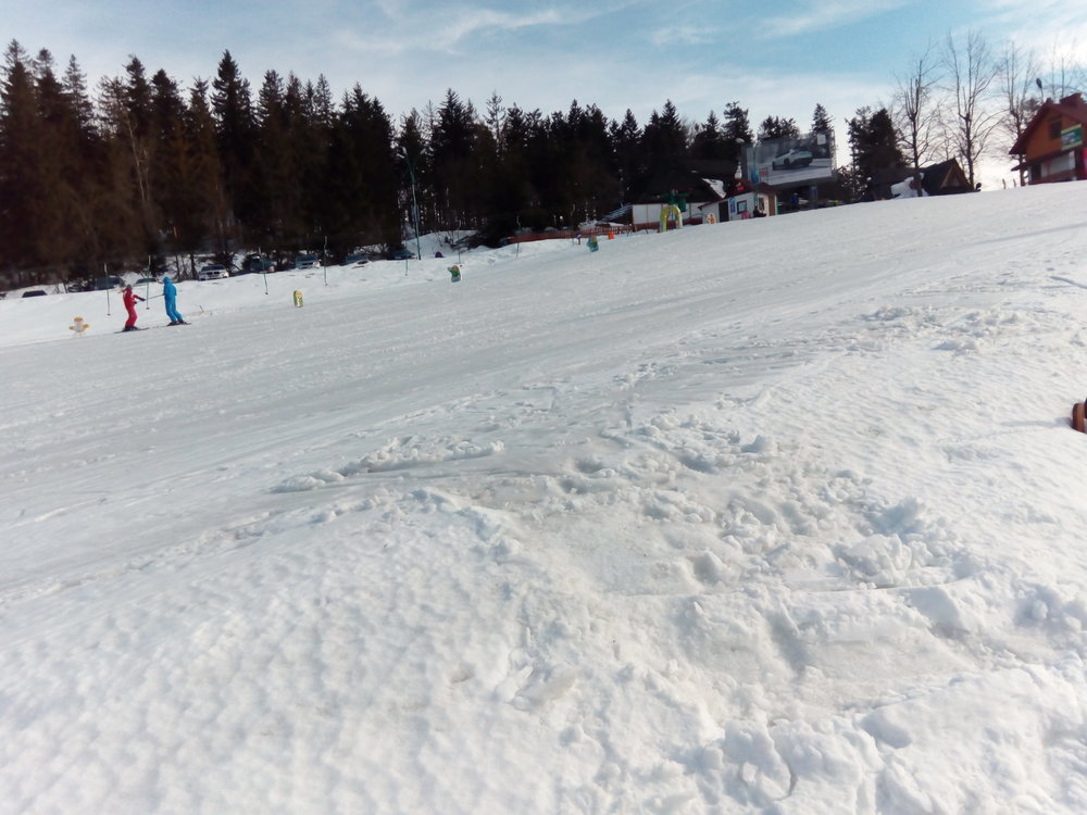IMG_20190307_142354.thumb.jpg.cc637190ffbbc04cfe4eb12a4445b18d.jpg