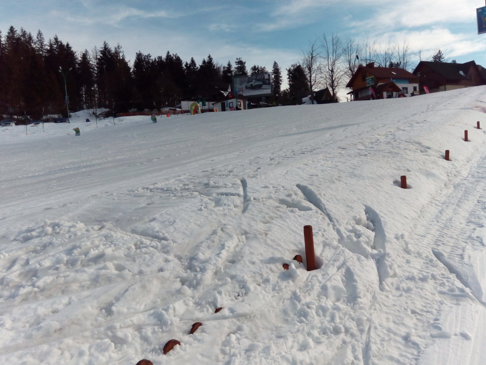 IMG_20190307_142450.thumb.jpg.ca94f28d730d11dd77fad2133fc65a63.jpg