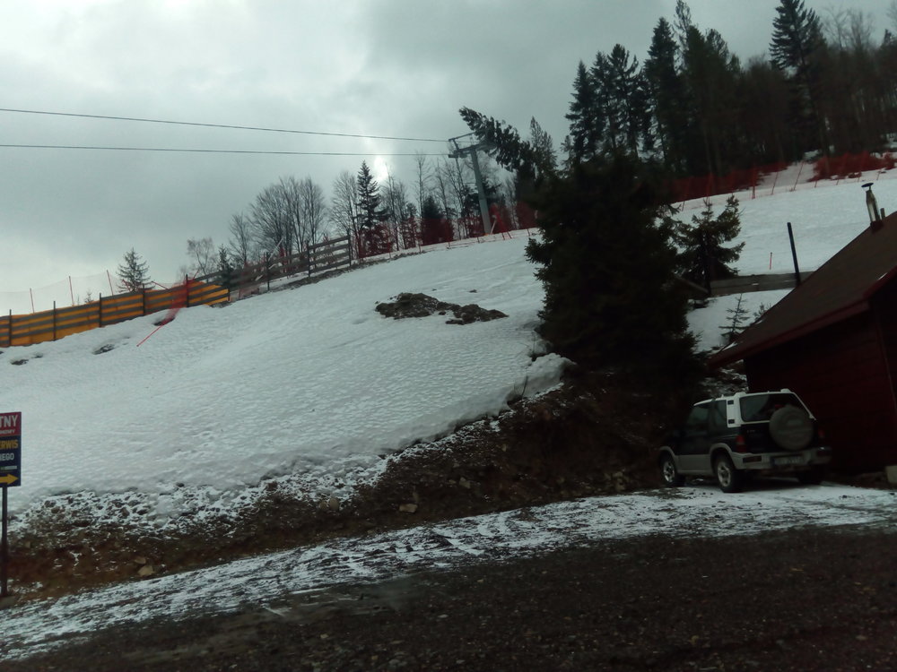 IMG_20190311_090448.thumb.jpg.cde266fb5c420ba5adc7277910b39278.jpg