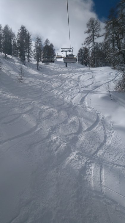 IMG_20190312_114618.jpg