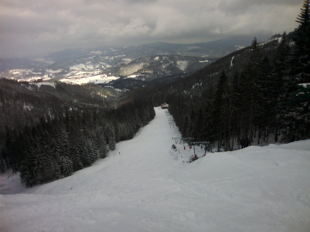 IMG_20190312_132848.jpg