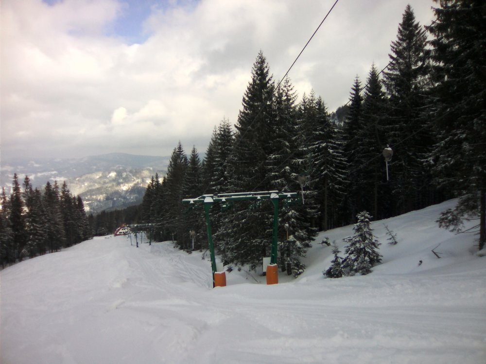 IMG_20190312_133031.jpg