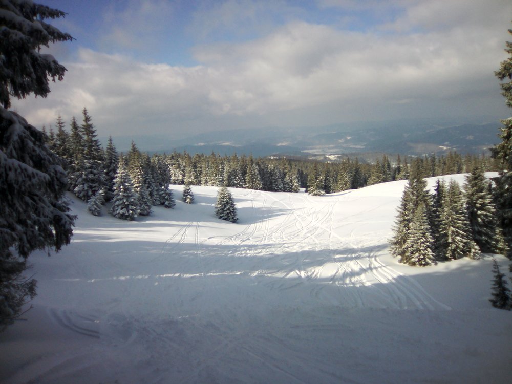 IMG_20190312_143148.jpg