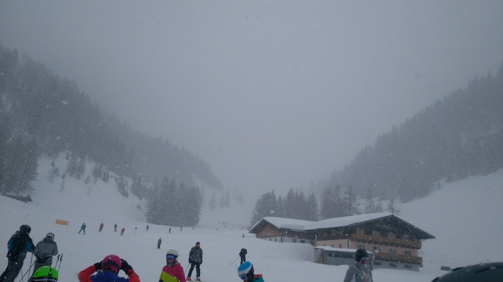 IMG_20190313_104050.jpg