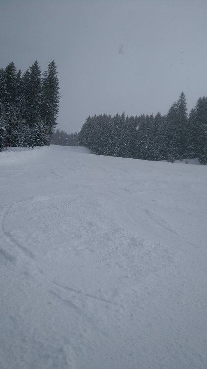 IMG_20190314_091438.jpg