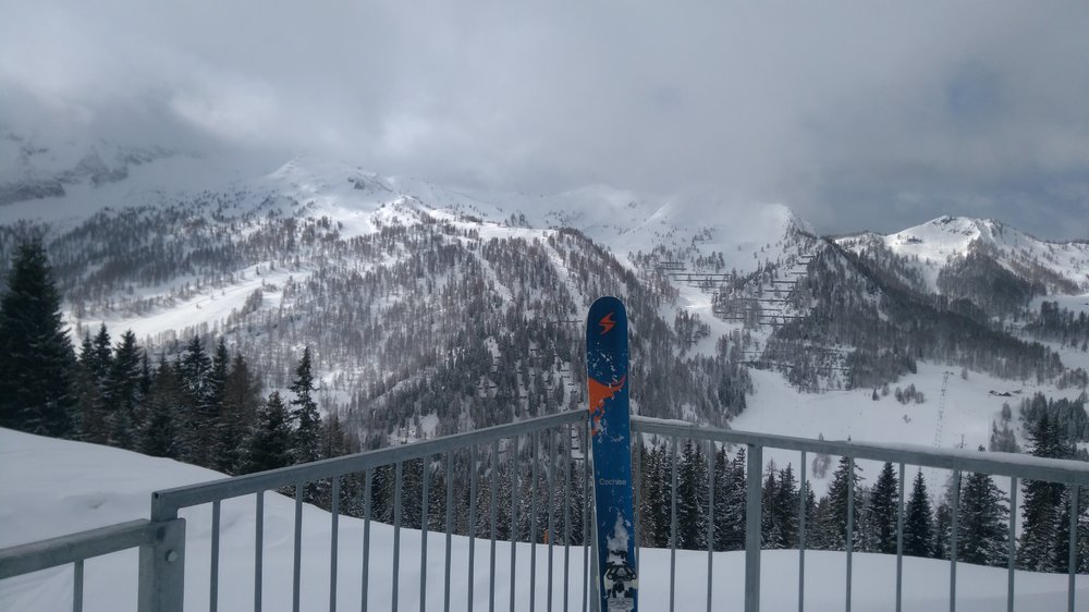 IMG_20190314_105609.jpg