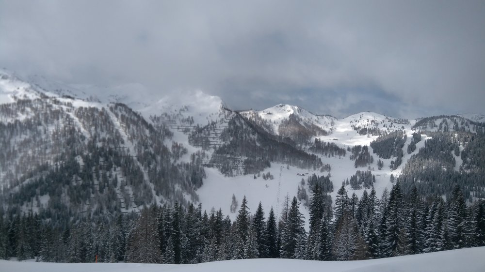 IMG_20190314_105630.jpg