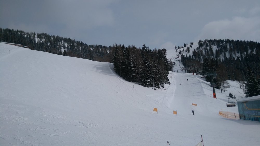 IMG_20190314_124643.jpg