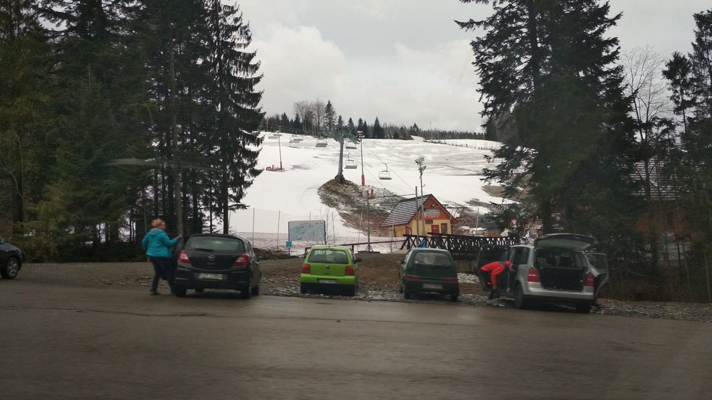 IMG_20190316_073930.jpg
