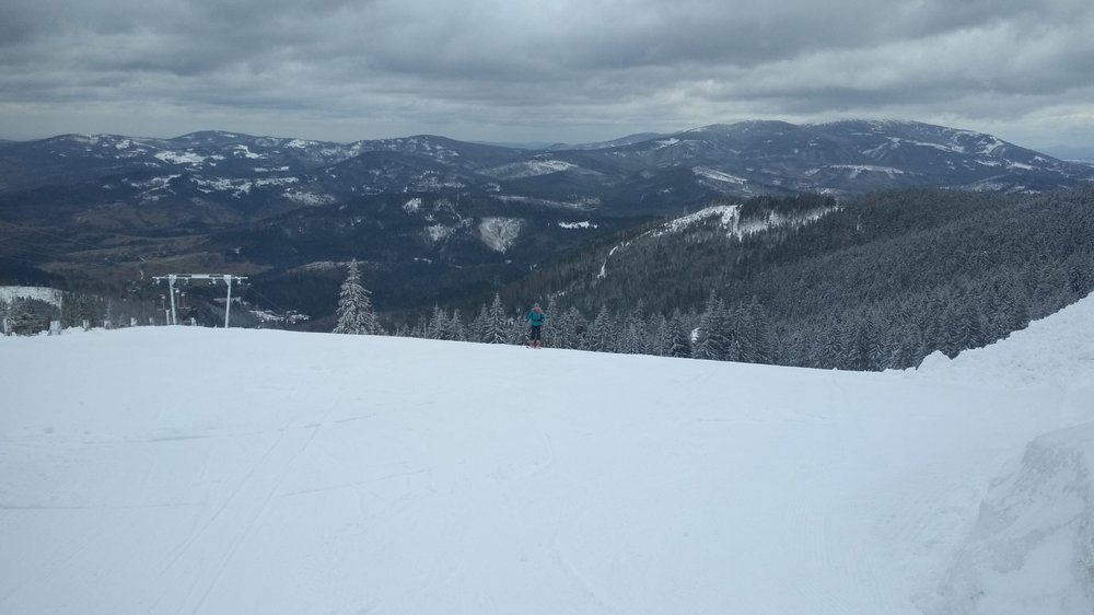 IMG_20190316_082830.jpg