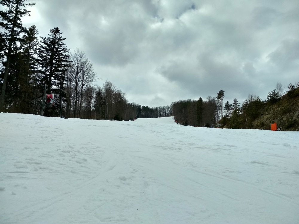 IMG_20190320_130323_HDR.thumb.jpg.4675241e9eeaac2d87d4e9a510801ef8.jpg