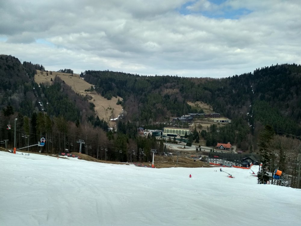IMG_20190320_130334_HDR.thumb.jpg.cec8ec8e5757141e8889a10680c91307.jpg