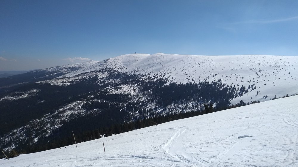 IMG_20190323_113154004.jpg