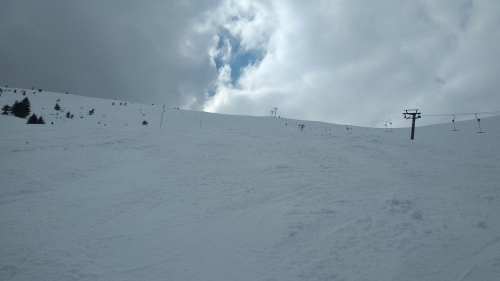 IMG_20190324_121624.jpg