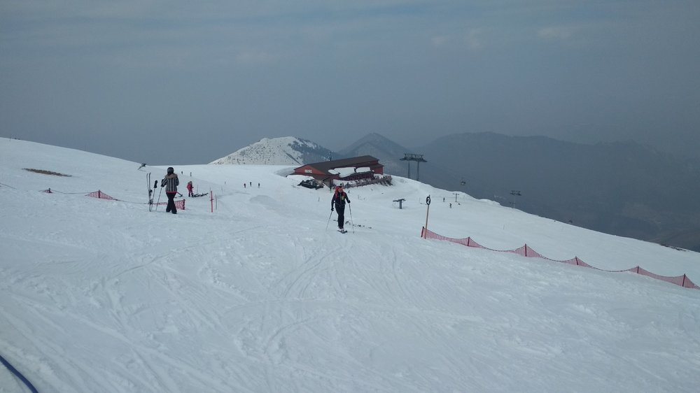 IMG_20190324_122432.jpg