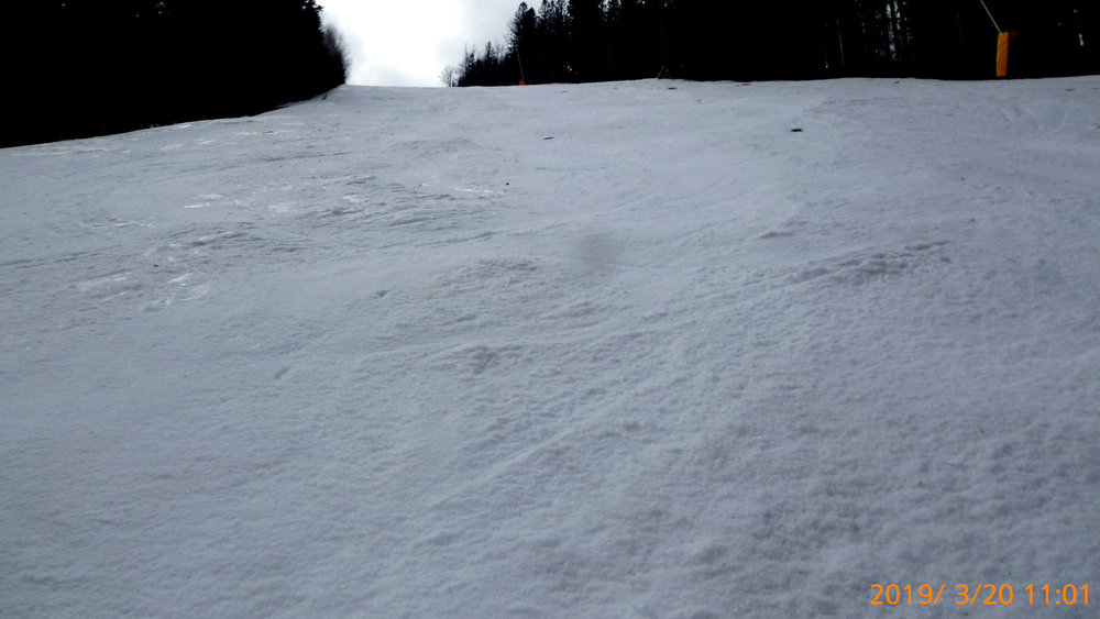 P1010493.JPG