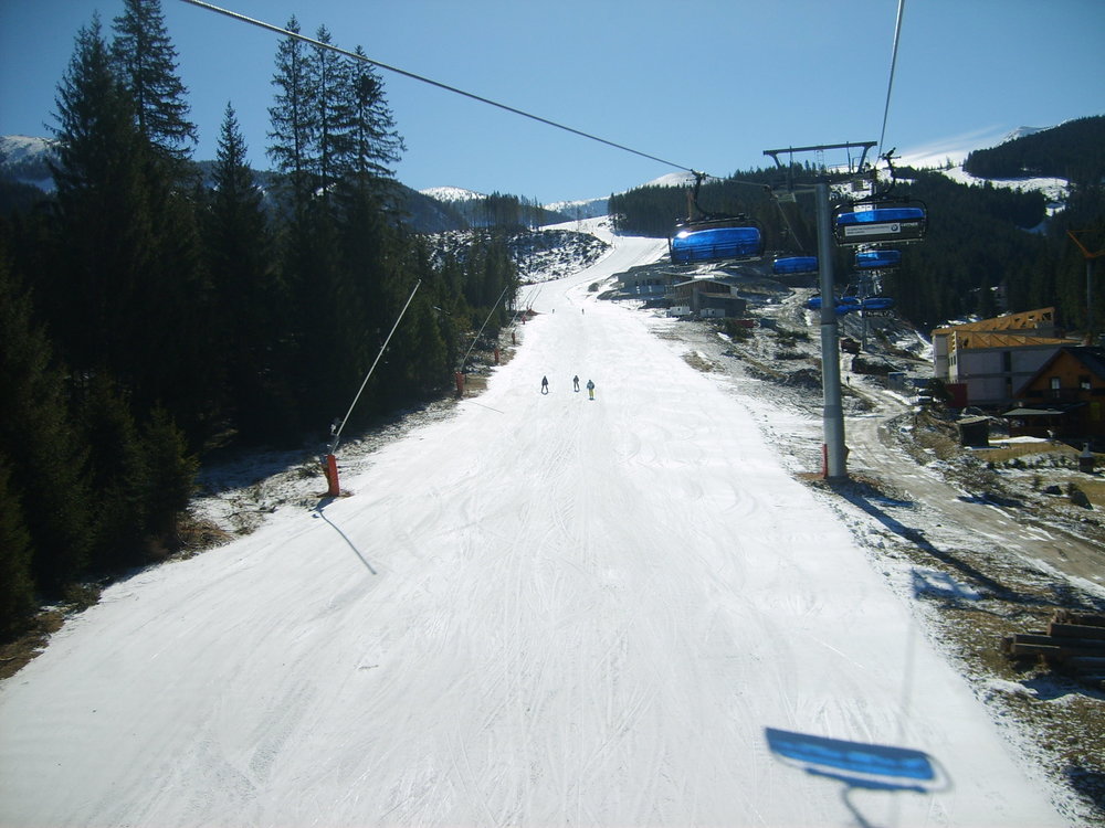 S5003508.JPG