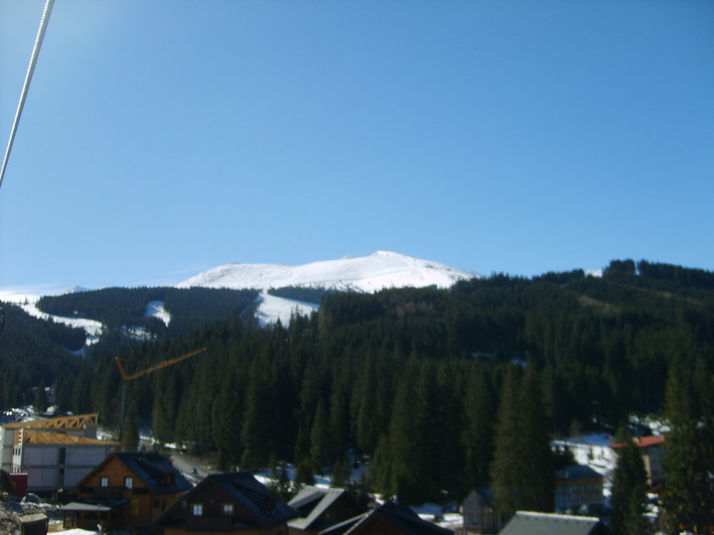 S5003509.JPG