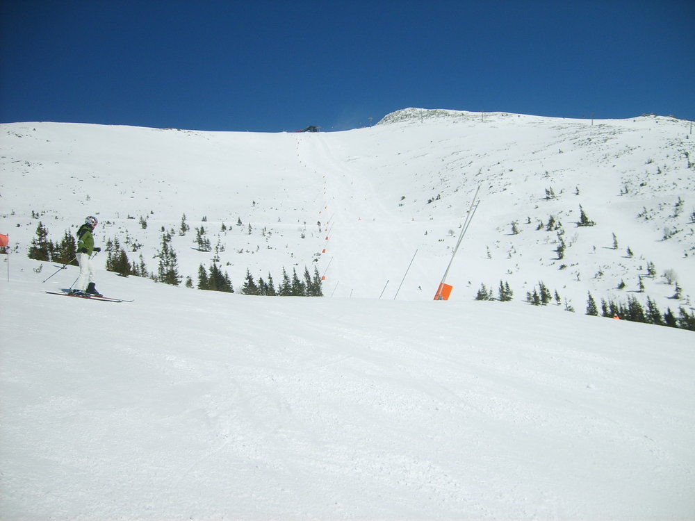 S5003510.JPG