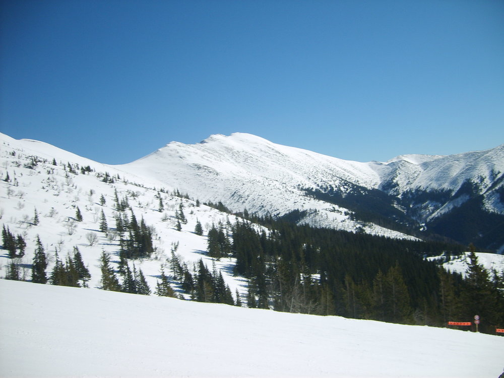 S5003511.JPG