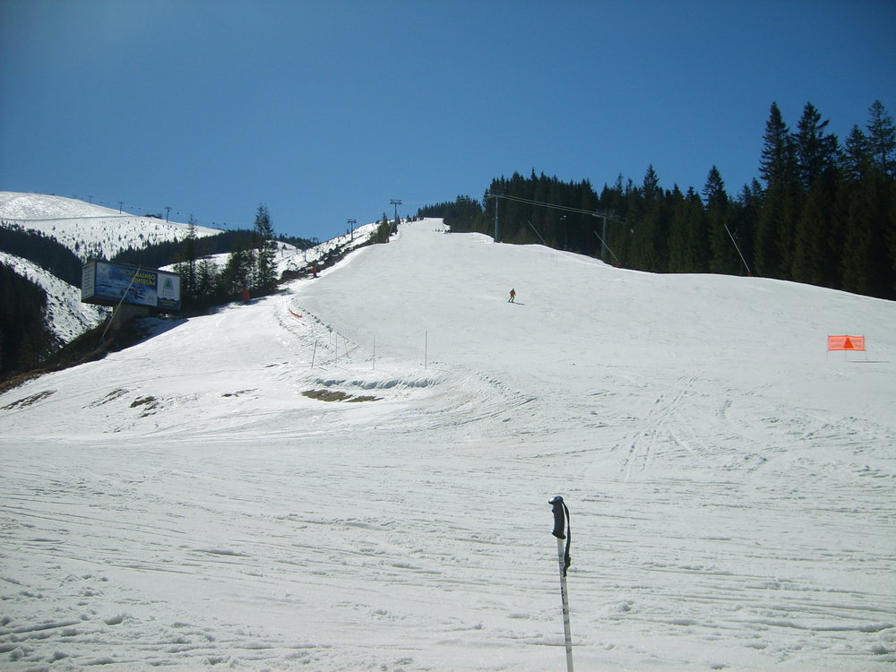 S5003513.JPG
