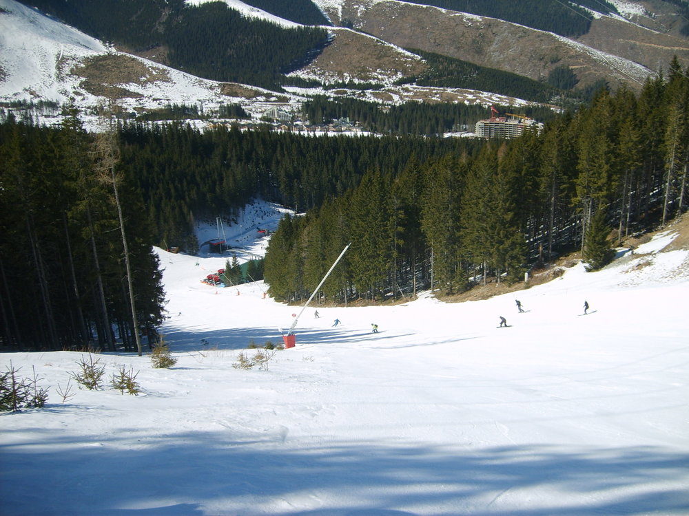 S5003514.JPG
