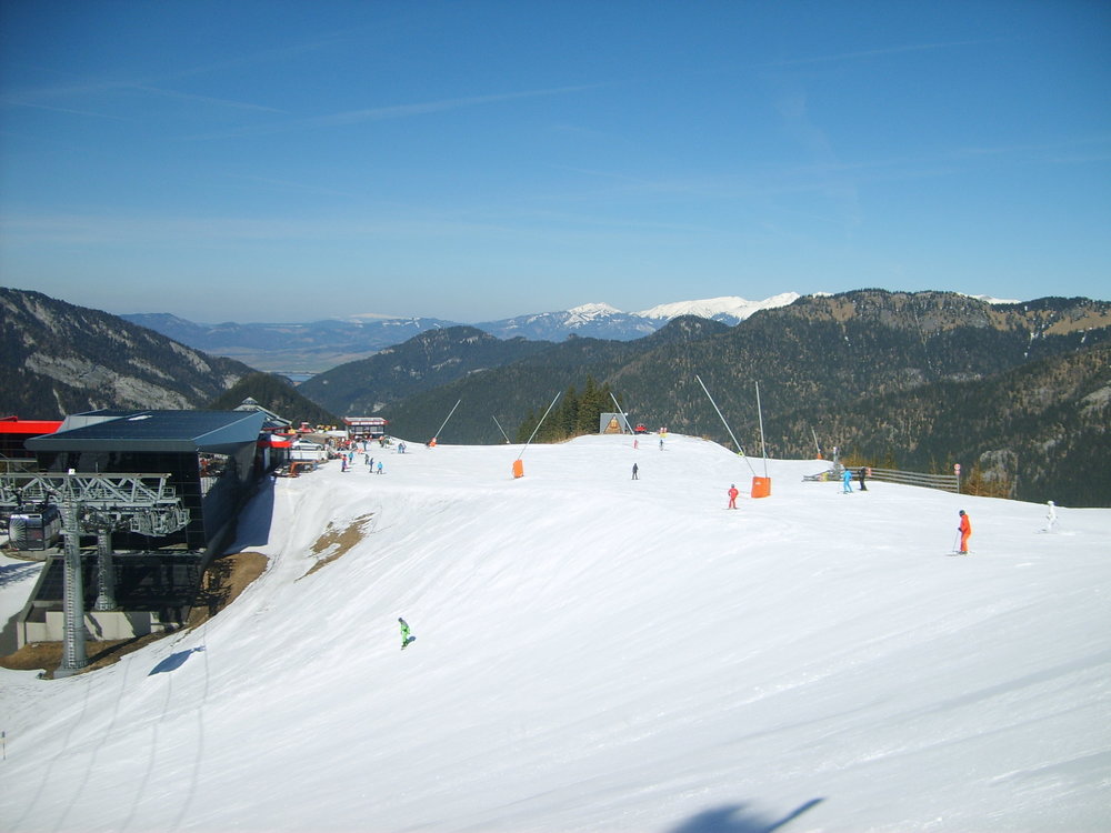 S5003515.JPG