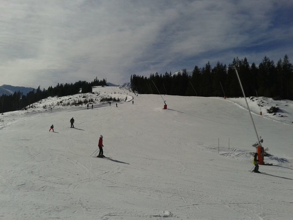 piatka3.jpg