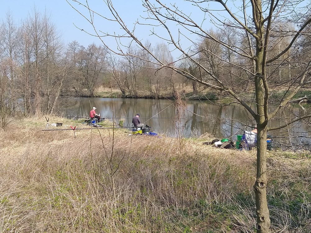 20190407_120121.jpg