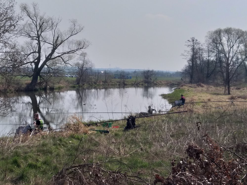 20190407_121338.jpg