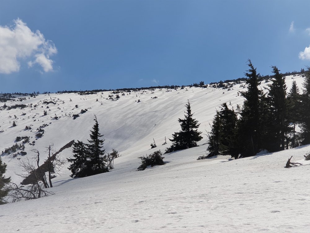 20190418_123121.jpg