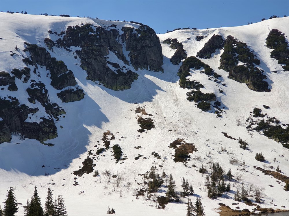 20190418_135121.jpg