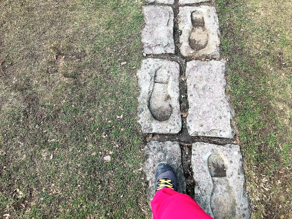 33.thumb.jpg.8ca2ae5380147d6874b0d9c875574d9d.jpg