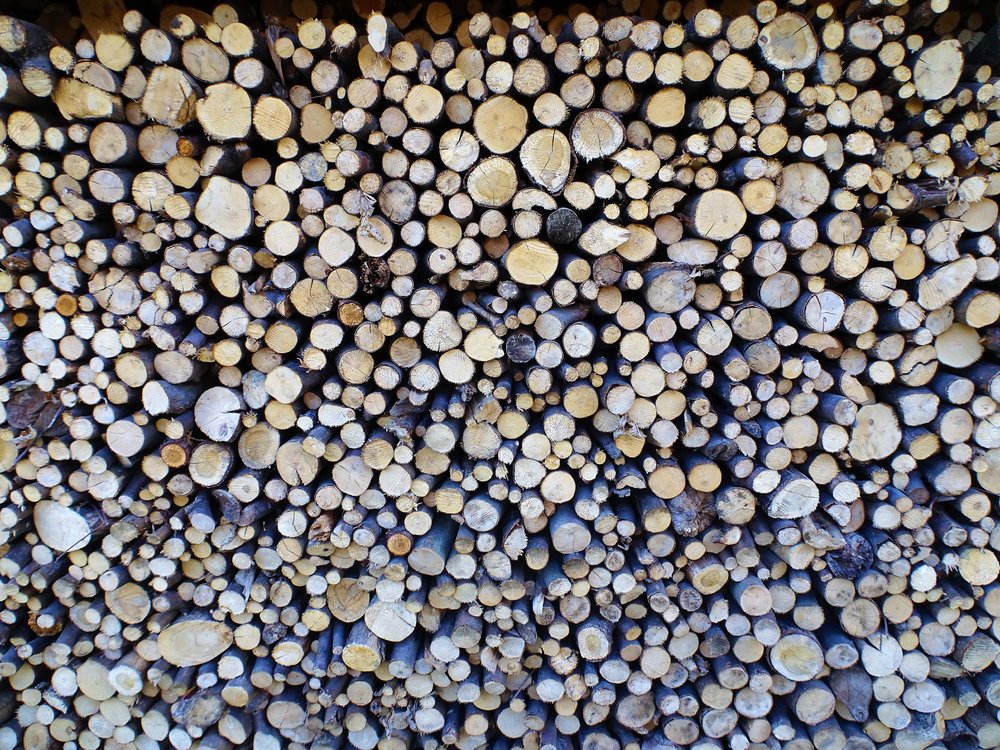 48.thumb.JPG.41d75e604291b09a746a953aefb9fce0.JPG