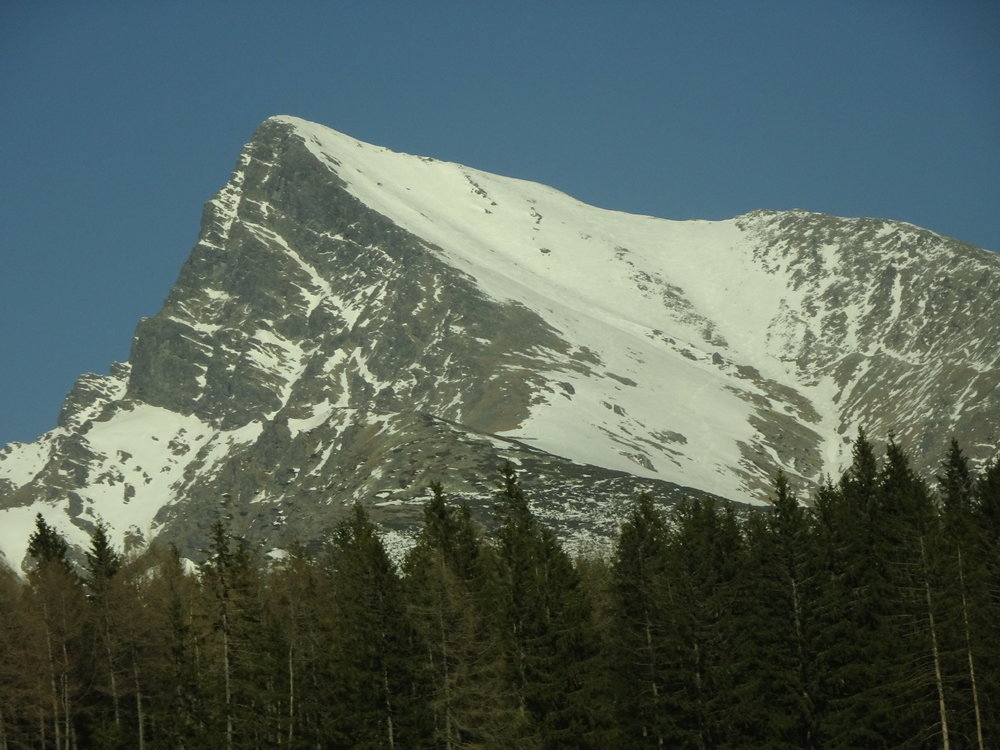 DSC05863.thumb.JPG.0f0f26d8a6e5ca9f57902aeaaed8eea8.JPG