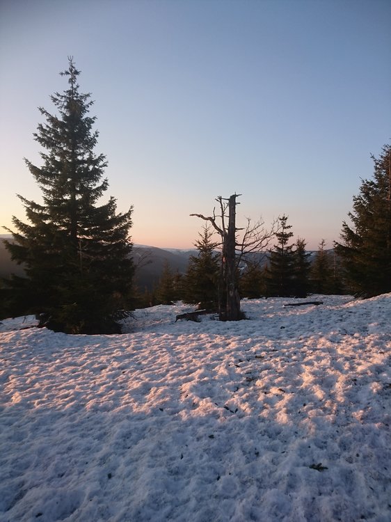 DSC_0092.JPG
