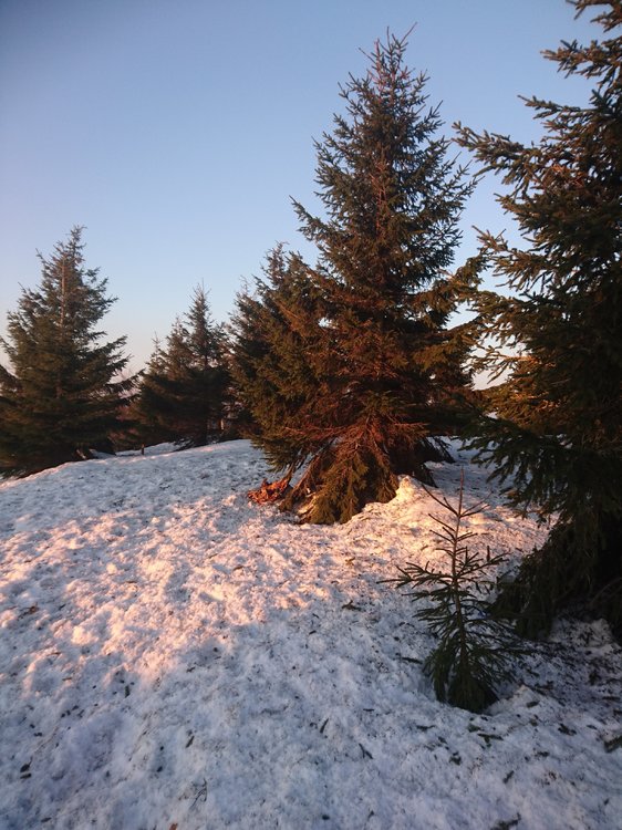 DSC_0094.JPG