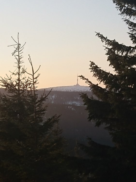 DSC_0097.JPG