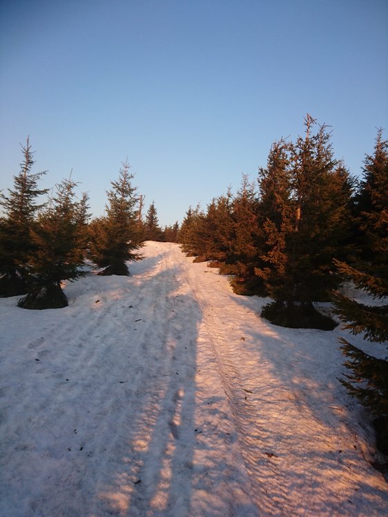 DSC_0101.JPG