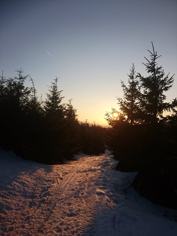 DSC_0104.JPG