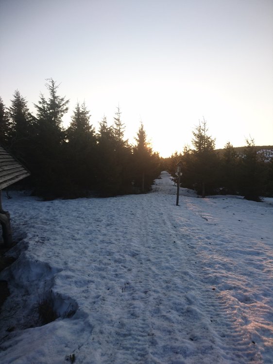 DSC_0114.JPG