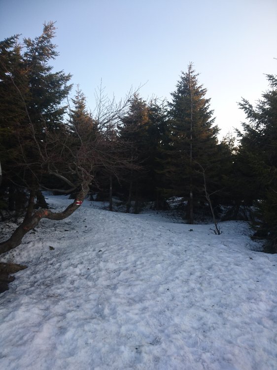 DSC_0115.JPG