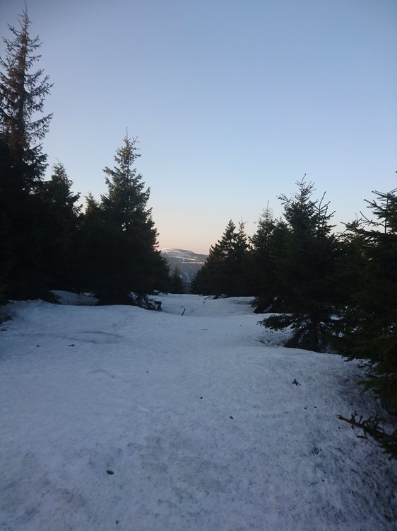 DSC_0122.JPG