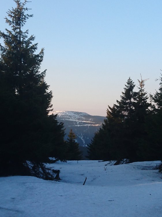 DSC_0124.JPG