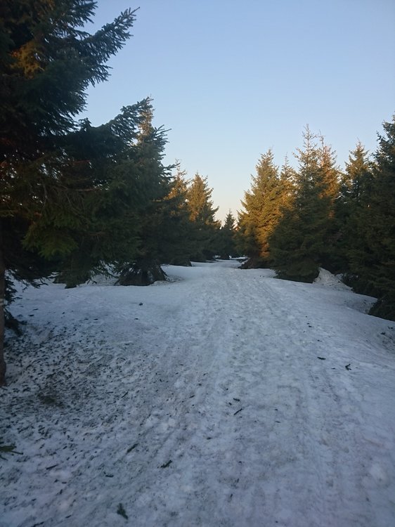 DSC_0129.JPG