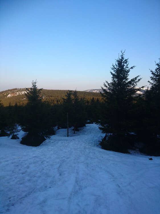 DSC_0135.JPG